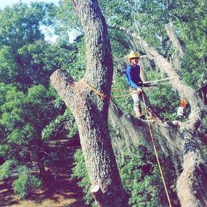 Meet your Posher, Dylan